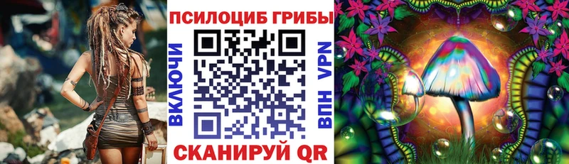 закладка  Качканар  Псилоцибиновые грибы MAGIC MUSHROOMS 